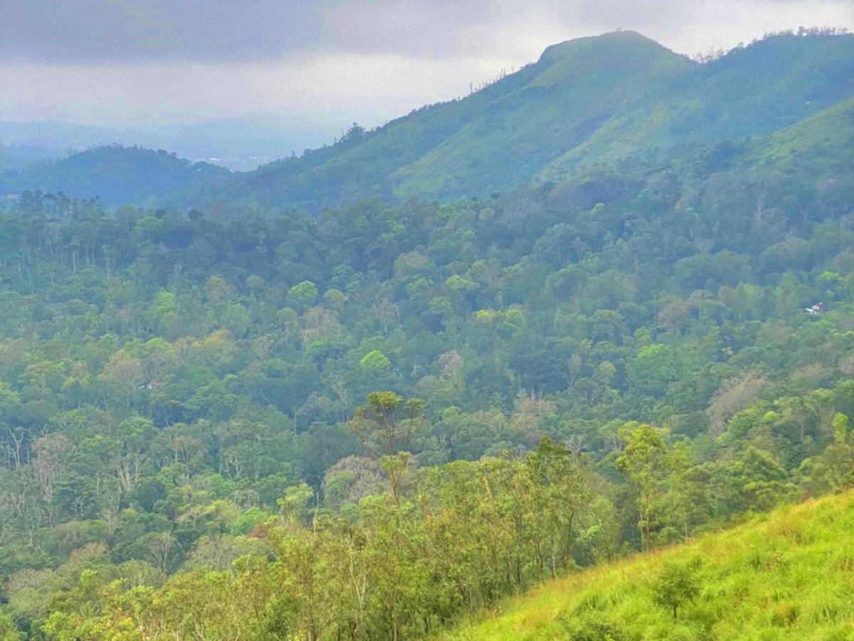 The Windy Mist Resort Munnar Chinnakanal Екстериор снимка